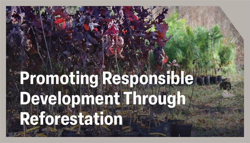 25-0574_IMA_CaseStudy-SCT-Thumbnail_v01