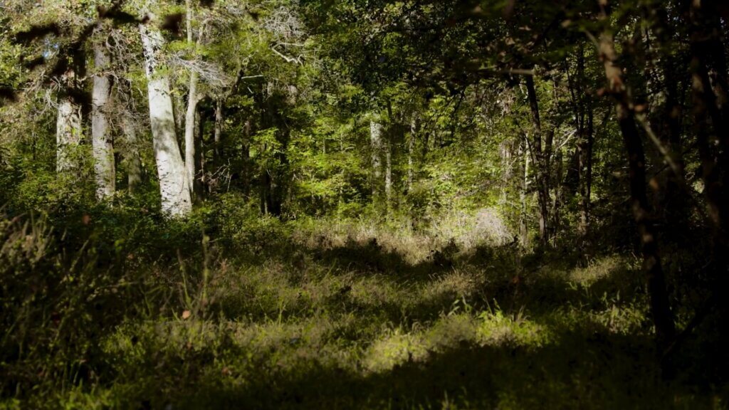 QTS and the Southern Conservation Trust
