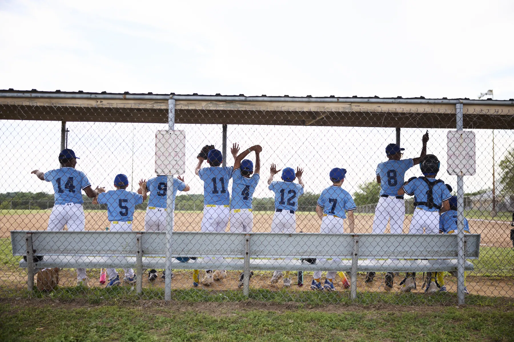 Little league team cheering from the dugout
