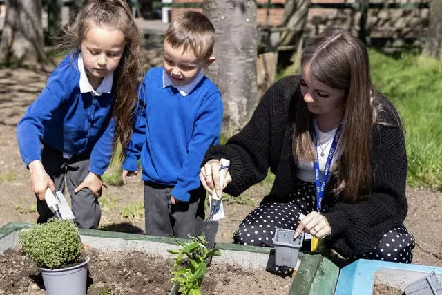 New sensory garden at Cambois Primary School funded by QTS