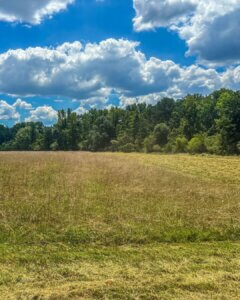 View of Towaliga Preserve Fayetteville